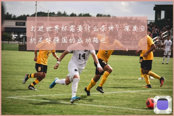 打进世界杯需要什么条件？深度分析足球强国的成功路径