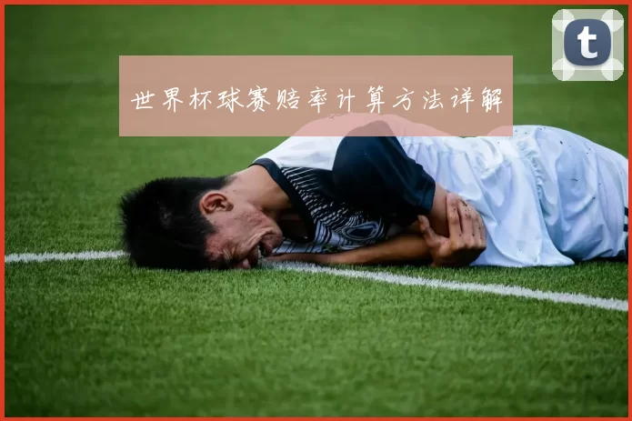 世界杯球赛赔率计算方法详解