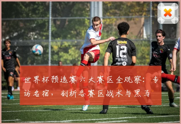 世界杯预选赛六大赛区全观察:专访名宿,剖析各赛区战术与黑马