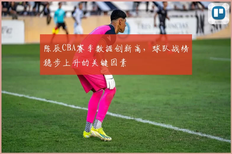 陈辰CBA赛季数据创新高，球队战绩稳步上升的关键因素