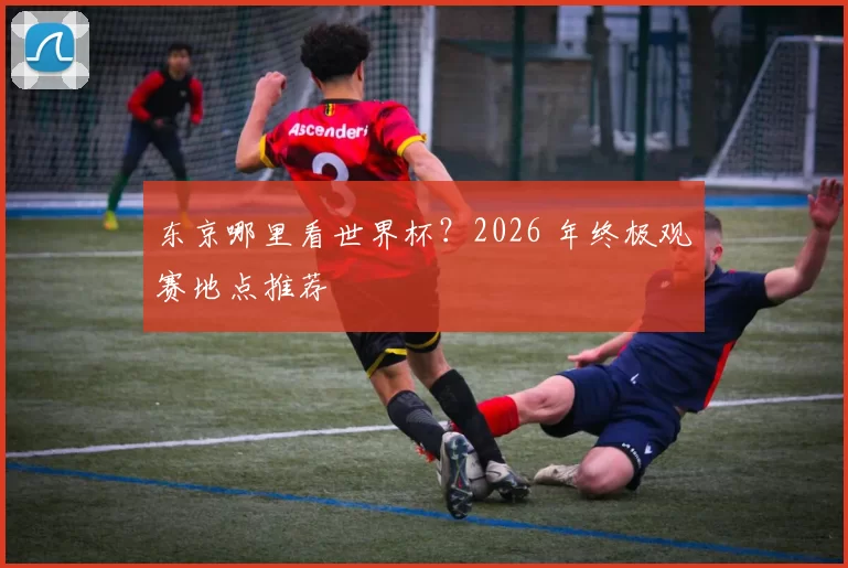 东京哪里看世界杯?2026 年终极观赛地点推荐