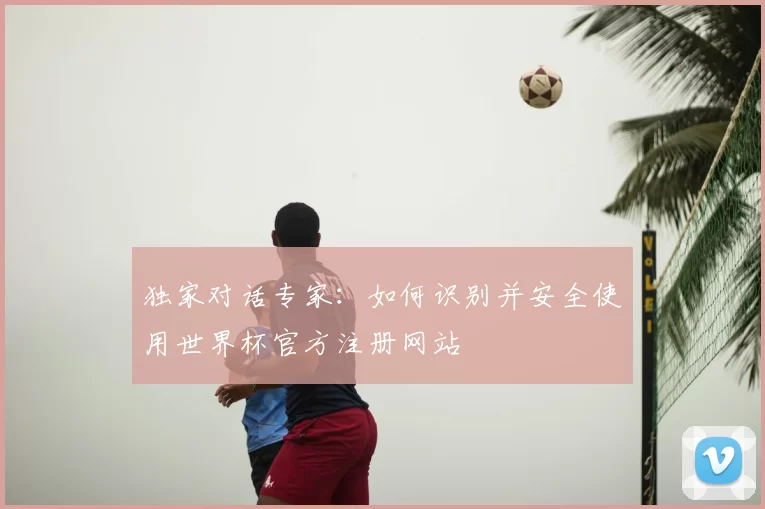 独家对话专家：如何识别并安全使用世界杯官方注册网站