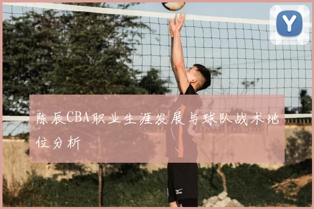 陈辰CBA职业生涯发展与球队战术地位分析